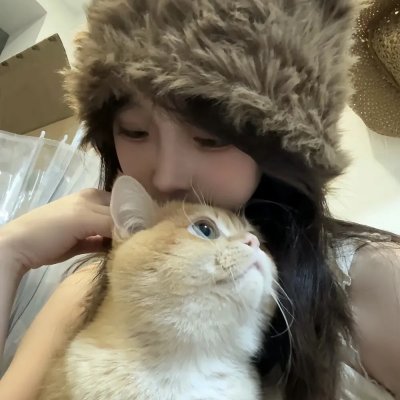失眠的北风吹来爱情